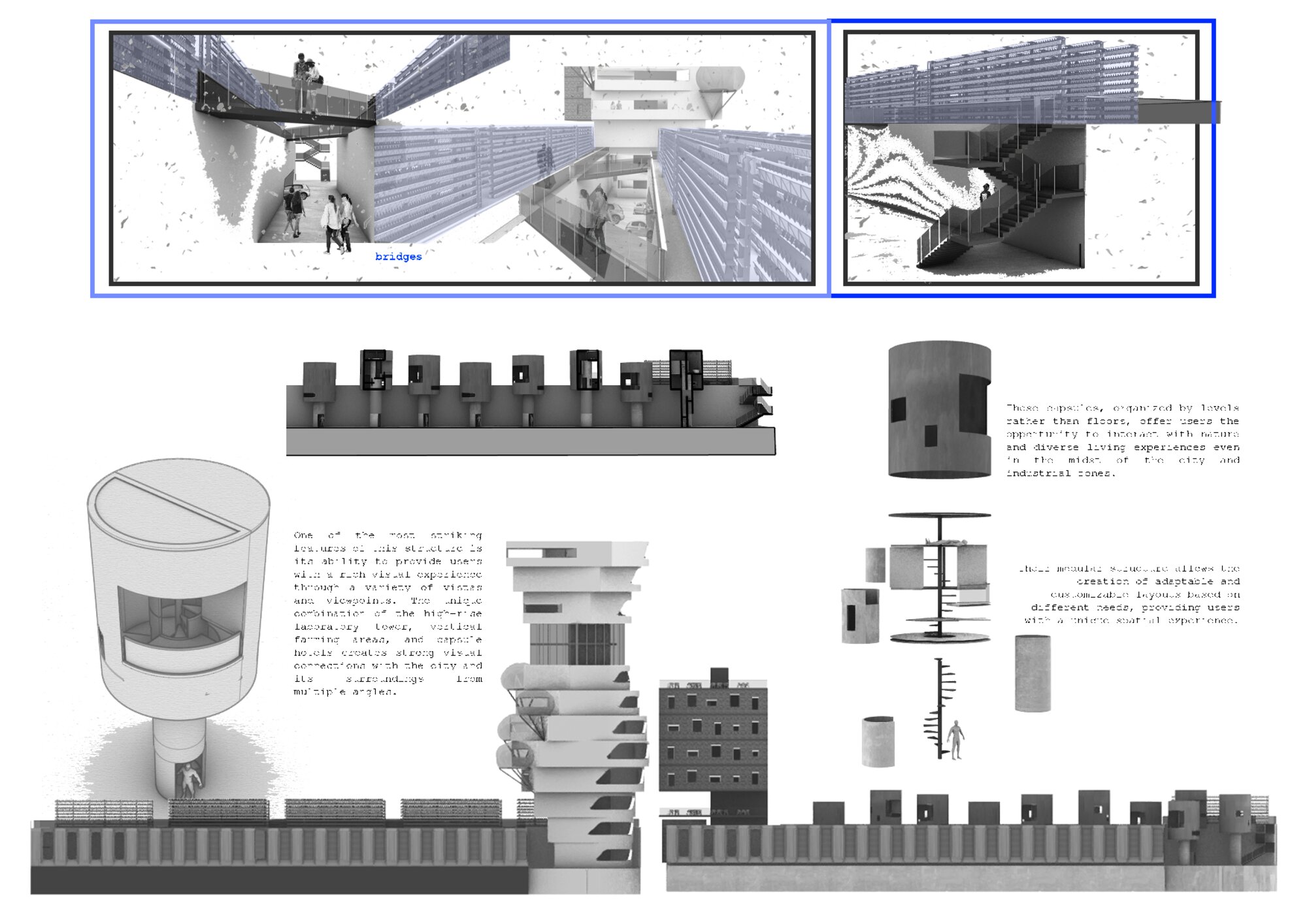 Bridges, sections and capsule unit details